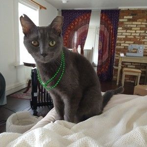 Meet your Posher, Posh